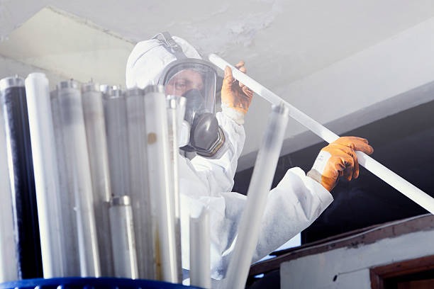 Trusted Asbestos Safety Services from Supernova Asbestos Surveys